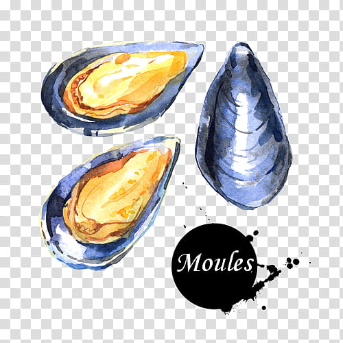 Watercolor Drawing, Mussel, Clam, , Watercolor Painting, Royaltyfree, Mussels, Bivalve transparent background PNG clipart