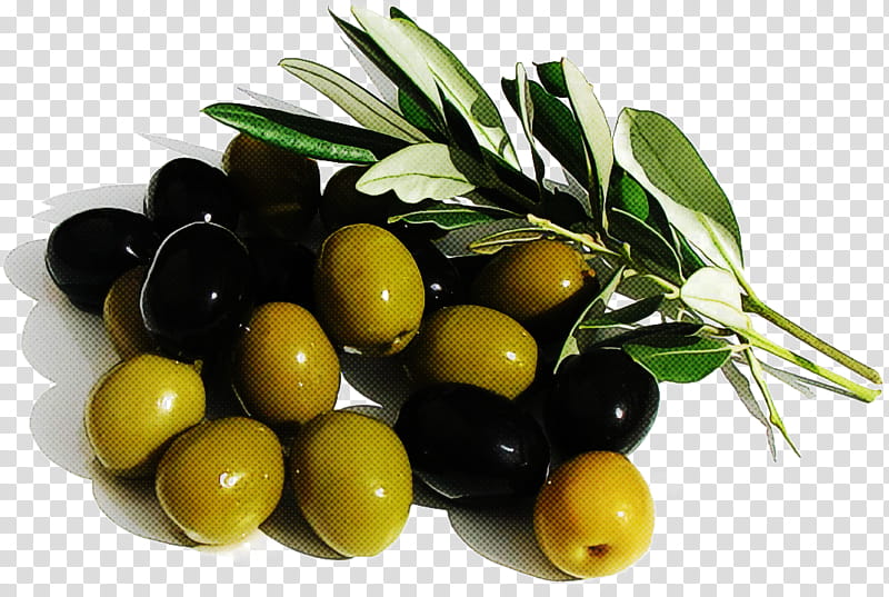 Olive oil, Fruit, Food, Plant, Natural Foods, Ingredient, Olive Family transparent background PNG clipart