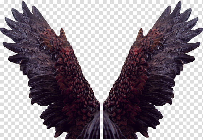 Eagle Angel Wings Zip , purple and red wings illustration transparent background PNG clipart