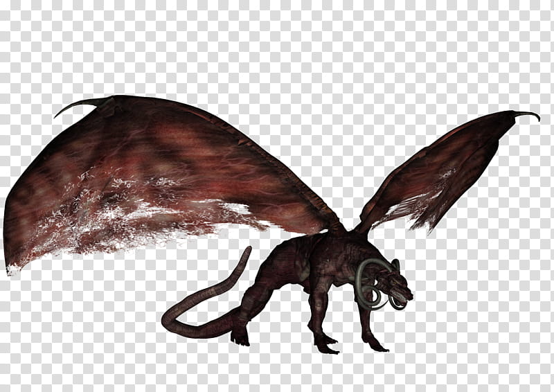 Fire Dragon , black winged animal illustration transparent background PNG clipart