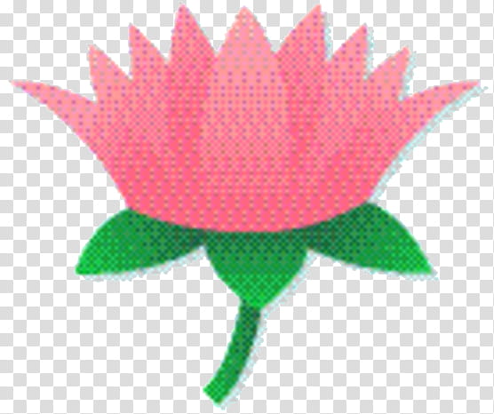 Lily Flower, Petal, Leaf, Plant Stem, Pink M, Plants, Green, Lotus Family transparent background PNG clipart