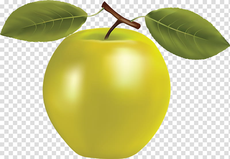 Apples, Granny Smith, Golden Delicious, Fruit, White , Food, Plant, Citrus, Natural Foods transparent background PNG clipart