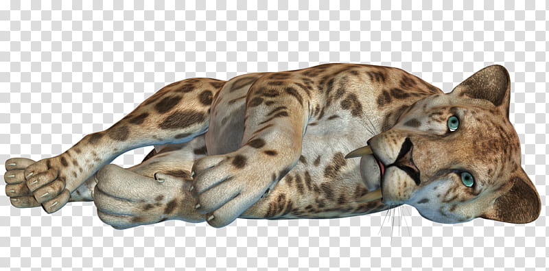 Sabertooth , brown leopard transparent background PNG clipart