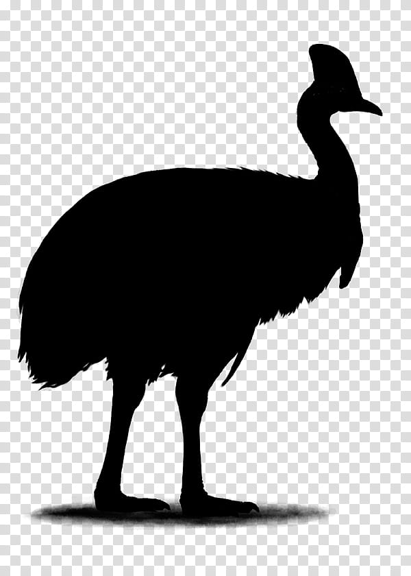 Bird Silhouette, Horse, Common Ostrich, Trot, Animal, Jumping, Black, Horseshoe transparent background PNG clipart
