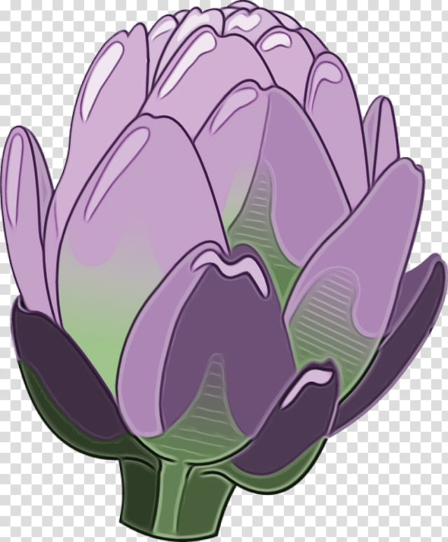 Tulip Purple Petal, Watercolor, Paint, Wet Ink, Flower, Violet, Plant, Artichoke transparent background PNG clipart