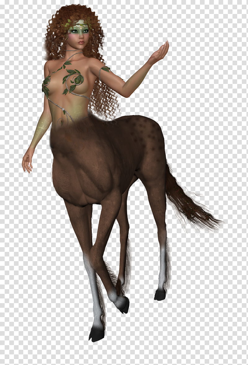 Centaur, brown female centaur transparent background PNG clipart