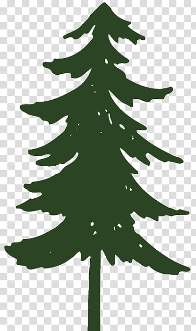 Oak Tree Silhouette, Pine, Eastern White Pine, Pinus Nigra, Conifers, Leaf, Christmas Tree, Woody Plant transparent background PNG clipart