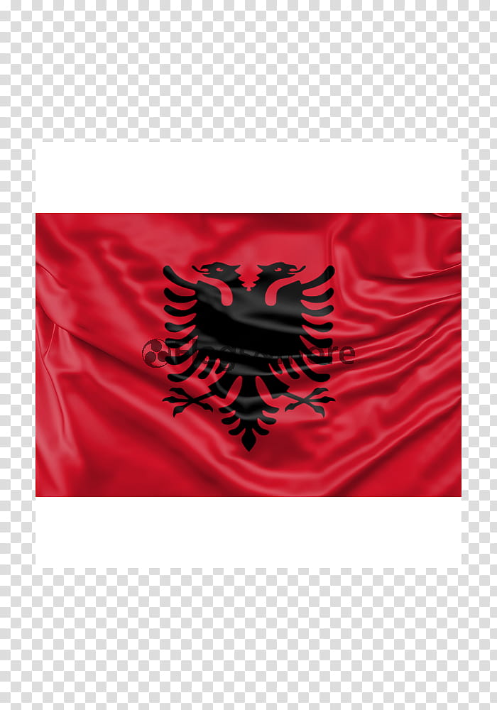 Pakistan Flag, Flag Of China, Flag Of Albania, National Flag, Flag Of Vietnam, Flag Of Turkey, Flag Of Bangladesh, Flag Of Turkmenistan transparent background PNG clipart