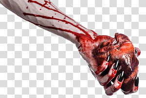 Ornament , 04 transparent background PNG clipart thumbnail