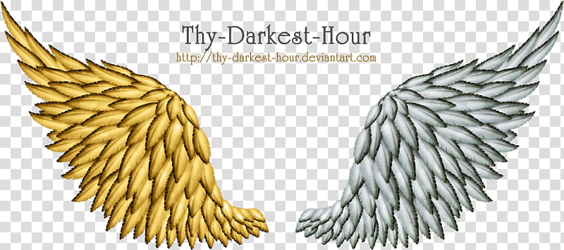 Gold Silver Feathered Wings, yellow and white The-Darkest-Hour wings art transparent background PNG clipart