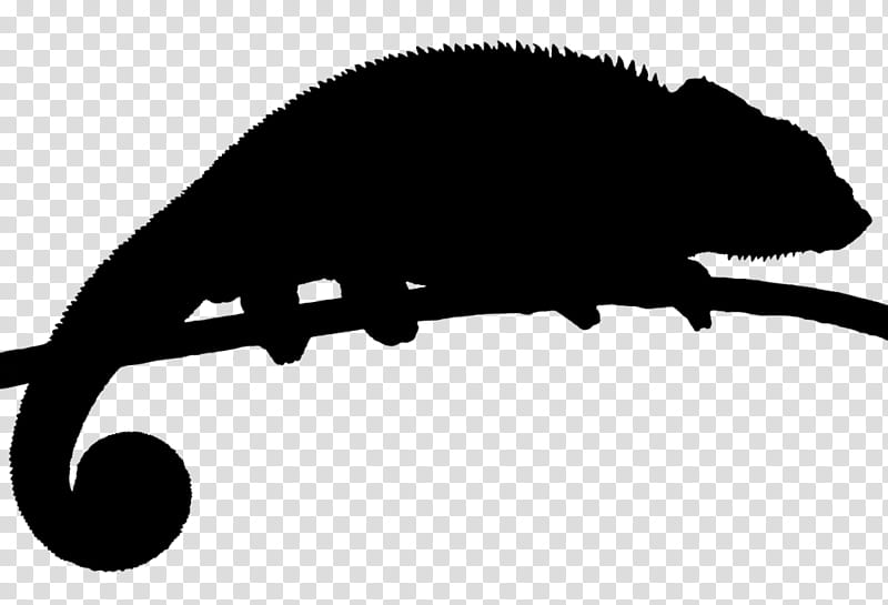 Snout Silhouette, Blackandwhite, Lizard, Iguania transparent background PNG clipart
