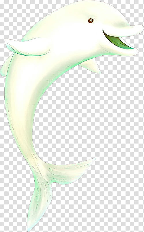 bottlenose dolphin dolphin fin cetacea fish, Shortbeaked Common Dolphin, Common Dolphins transparent background PNG clipart