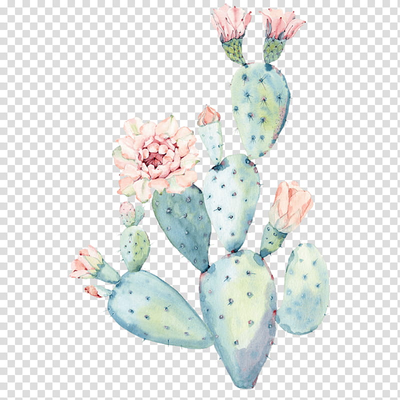 Cactus, Watercolor Painting, Pastel, Drawing, Succulent Plant, Artist, Prickly Pear transparent background PNG clipart