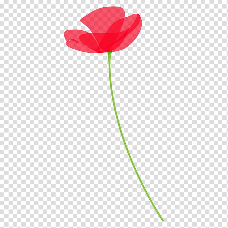 poppy flower, Petal, Pedicel, Plant, Tulip, Plant Stem, Coquelicot, Poppy Family transparent background PNG clipart