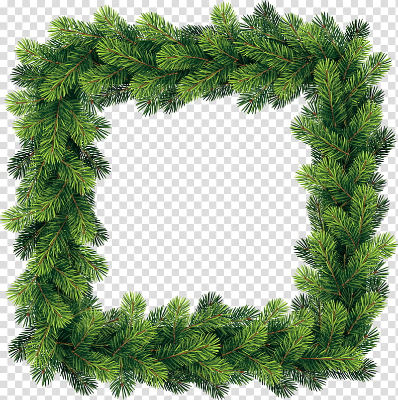 White Christmas Tree, BORDERS AND FRAMES, Christmas Day, Pine, Frames, Conifer Cone, Christmas Decoration, Christmas Ornament transparent background PNG clipart