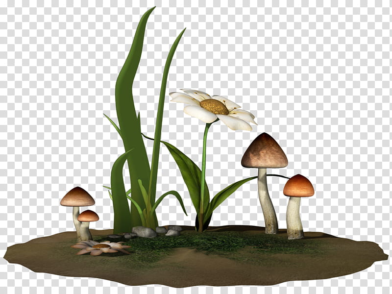 D Fantasy Shroom, white flowers and brown mushrooms transparent background PNG clipart