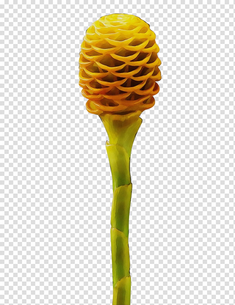 yellow plant flower plant stem ginger family, Watercolor, Paint, Wet Ink, Pollen transparent background PNG clipart