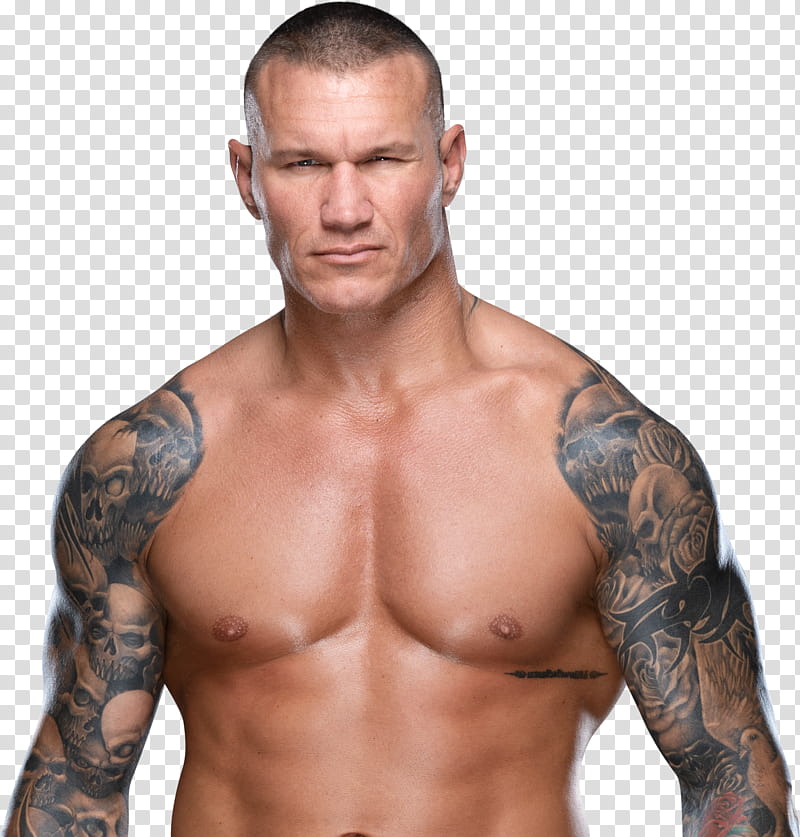 Randy Orton () Profile transparent background PNG clipart