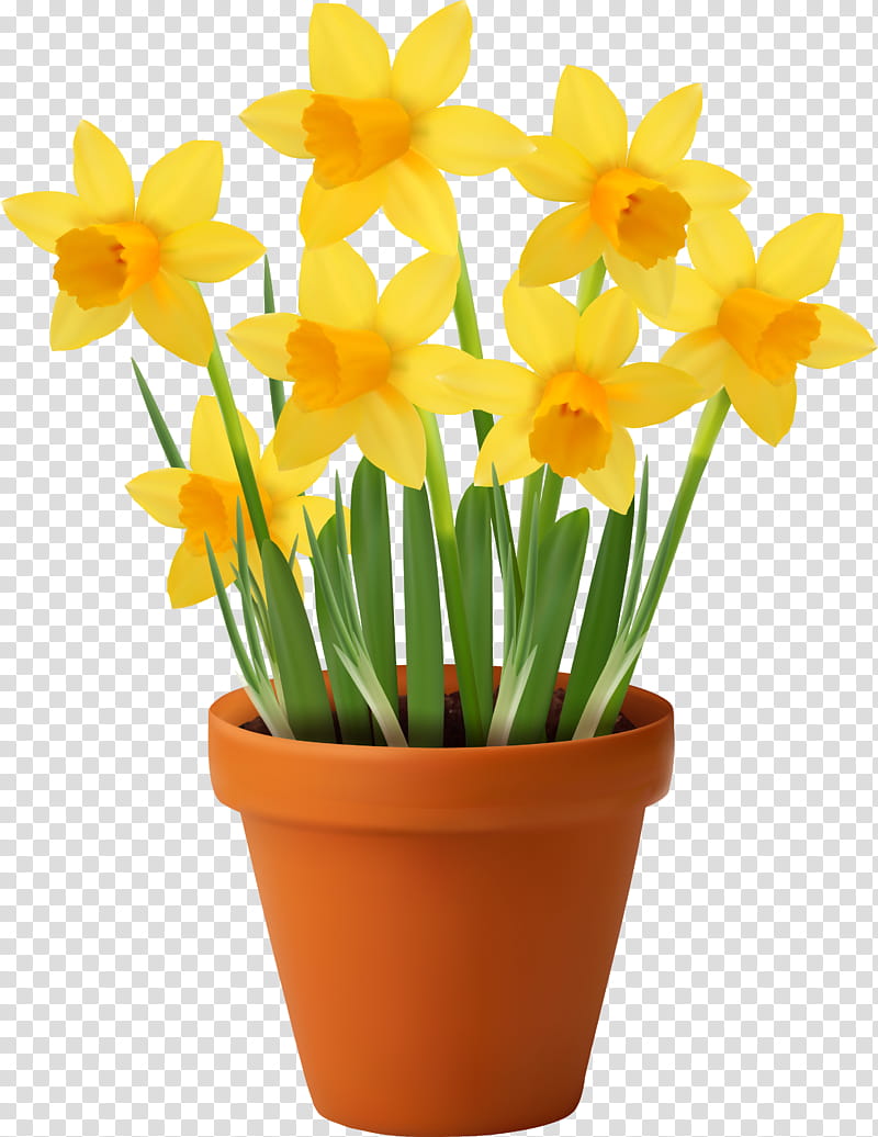 Flowers, Flowerpot, Vase, Plant, Narcissus, Cut Flowers, Amaryllis Family, Houseplant transparent background PNG clipart