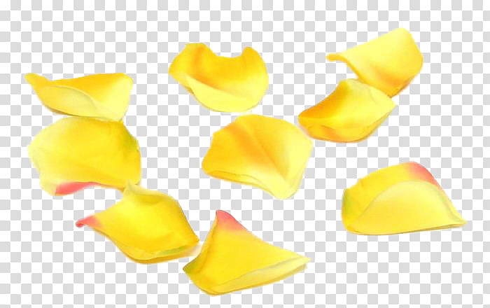 yellow flower petals transparent background PNG clipart