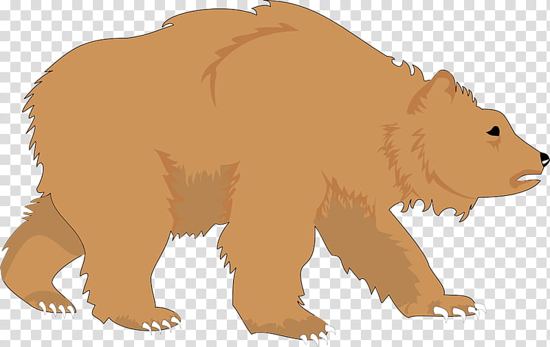 bear brown bear grizzly bear animal figure terrestrial animal, Snout, Wildlife transparent background PNG clipart