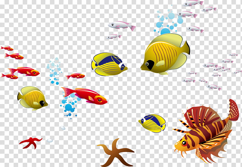 Coral Reef, Seabed, Ocean, Seawater, Deep Sea, Saltwater Fish, Seaweed, Animal Figure transparent background PNG clipart