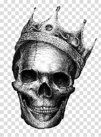 skull wearing crown illustration transparent background PNG clipart