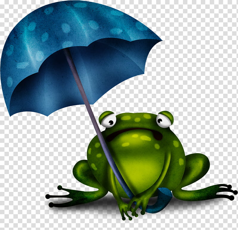 Prince, Frog, Edible Frog, Amphibians, Cartoon, Drawing, Animation, Toad transparent background PNG clipart