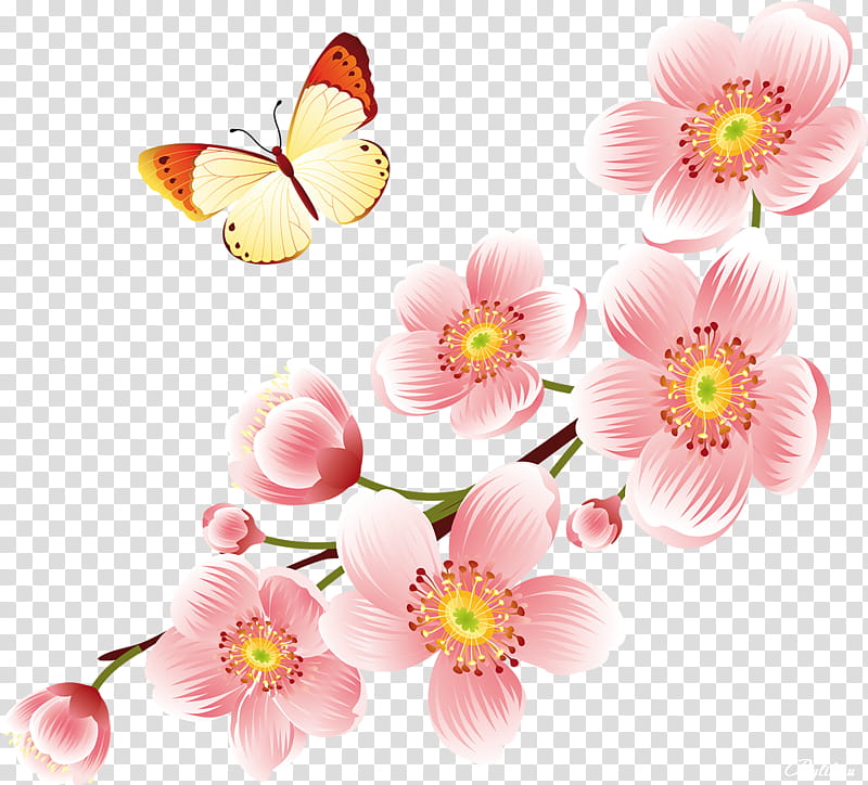Cherry Blossom, Flower, Floral Design, BORDERS AND FRAMES, Pink Flowers, Rose, Petal, Chrysanthemum transparent background PNG clipart