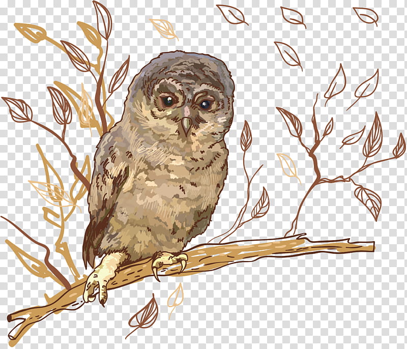 Bird, Owl, Great Grey Owl, Tawny Owl, Drawing, Little Owl, Bird Of Prey, Visual Arts transparent background PNG clipart