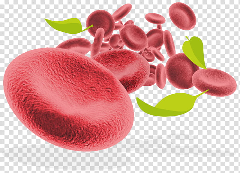 Red Blood Cell, Pigment, Chlorophyll, Invention, University, Color, Green, Domain Name transparent background PNG clipart
