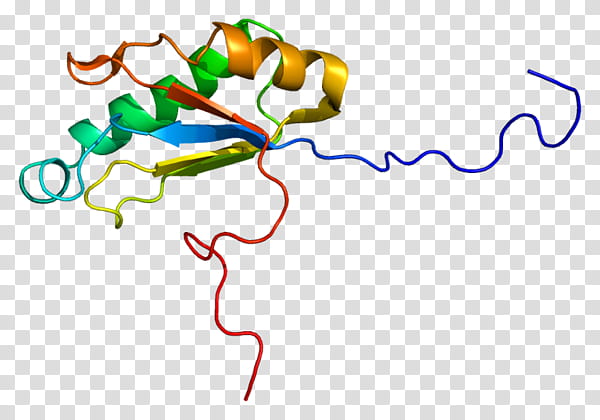 Htatsf1 Text, Gene, Hiv Tat, Nucleic Acid Sequence, Protein, Dna, Pymol, Transcription transparent background PNG clipart