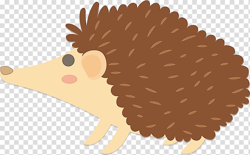 hedgehog erinaceidae porcupine new world porcupine, Watercolor, Paint, Wet Ink, Domesticated Hedgehog transparent background PNG clipart