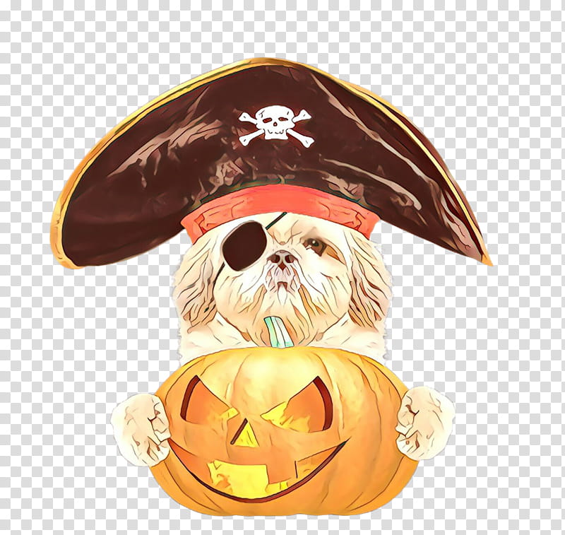 shih tzu lhasa apso headgear non-sporting group hat, Nonsporting Group, Toy Dog transparent background PNG clipart