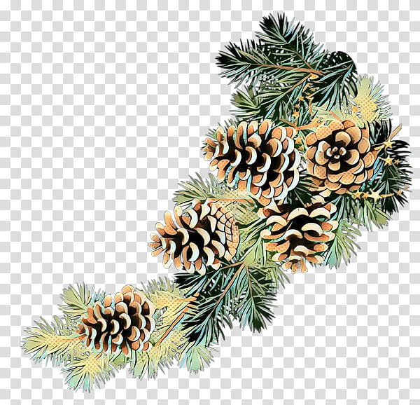 Black And White Book, Conifer Cone, Pine, Christmas Day, Russian Language, Christmas Decoration, Christmas Tree, Conifers transparent background PNG clipart