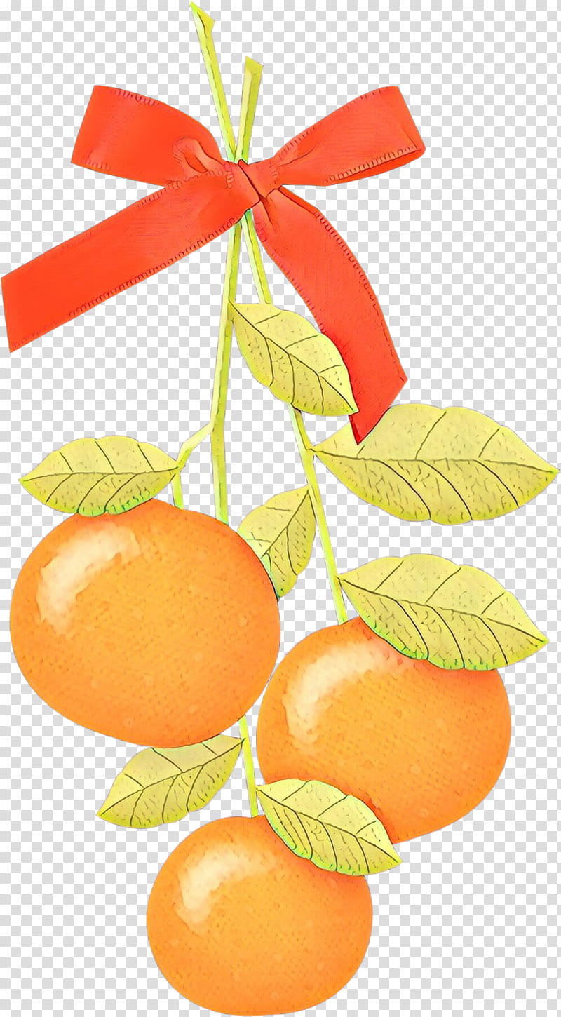 Plant Leaf, Clementine, Mandarin Orange, Tangerine, Grapefruit, Food, Valencia Orange, Diet Food transparent background PNG clipart