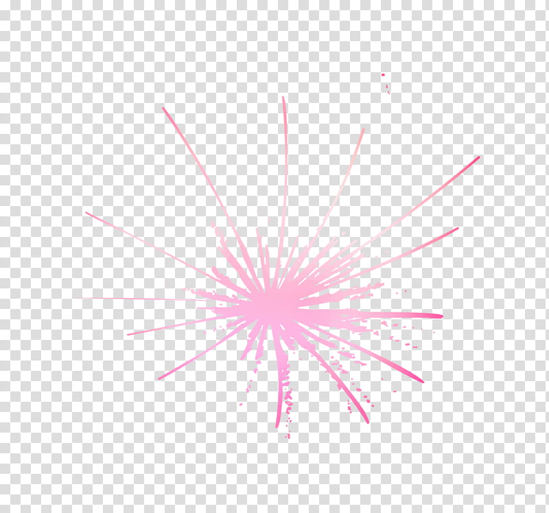 Fireworks, Computer, Pink M, Point, Sky, Line transparent background PNG clipart