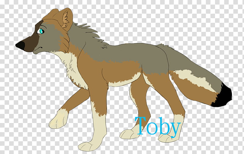 Toby transparent background PNG clipart