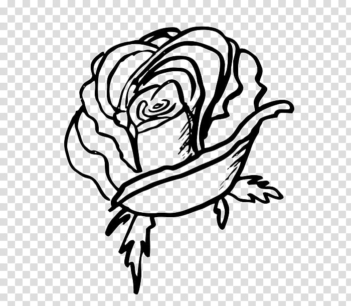 Roses, black rose illustration transparent background PNG clipart