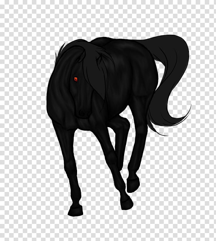 Black Roan WIP II transparent background PNG clipart