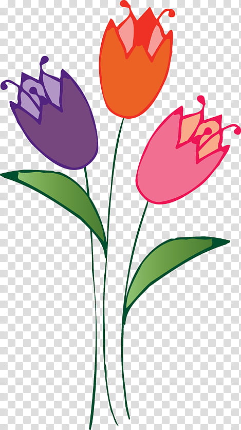 Lily Flower, Tulipa Humilis, Cut Flowers, Floral Design, Petal, Plant Stem, Radio Broadcasting, Pedicel transparent background PNG clipart