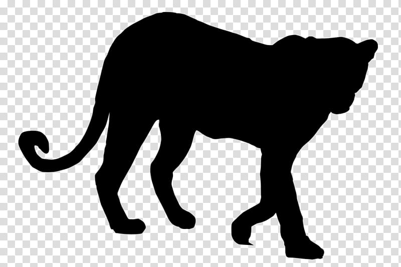 Puma Logo PNG Images, Free Transparent Puma Logo Download - KindPNG