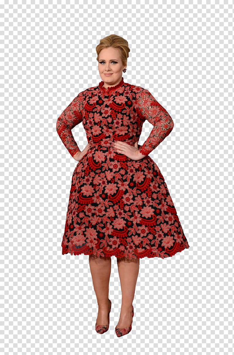 Adele transparent background PNG clipart