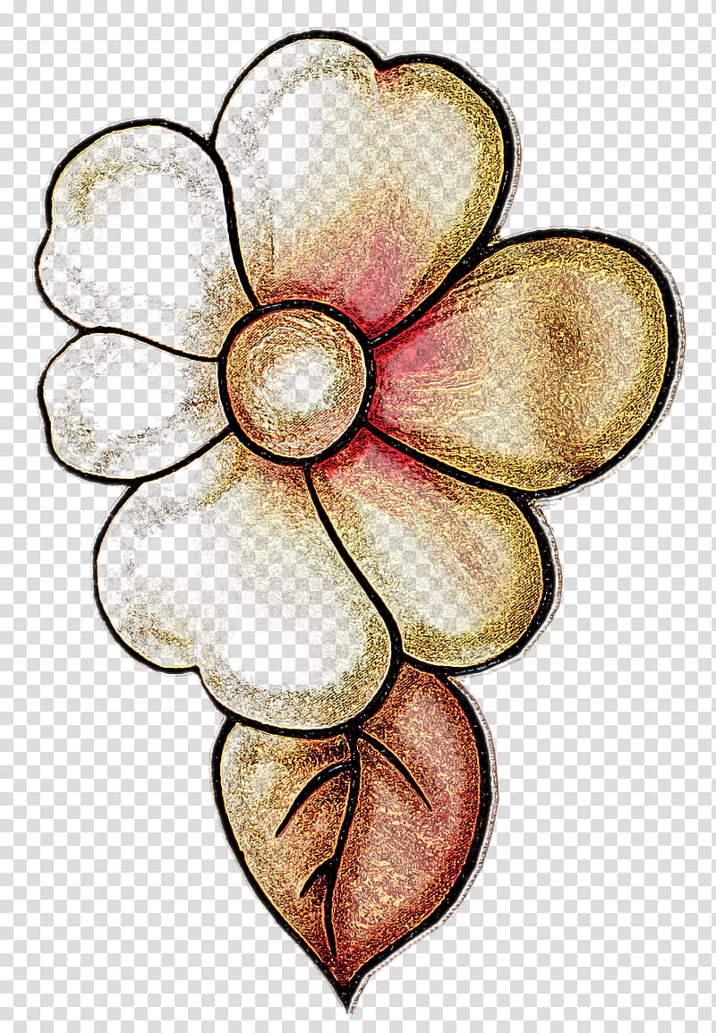 petal flower plant magnolia frangipani, Magnolia Family transparent background PNG clipart