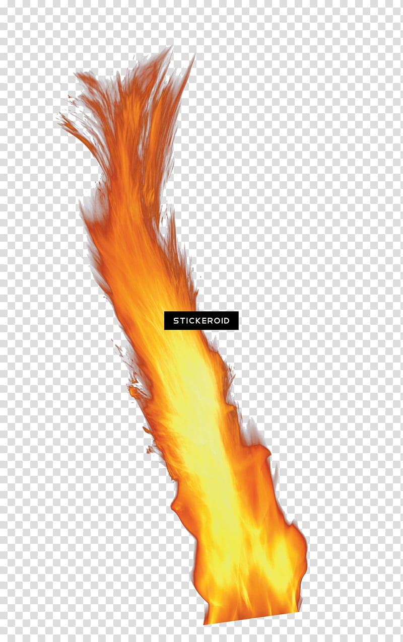 Flame, Fire, Torch, Orange, Tail, Feather transparent background PNG clipart