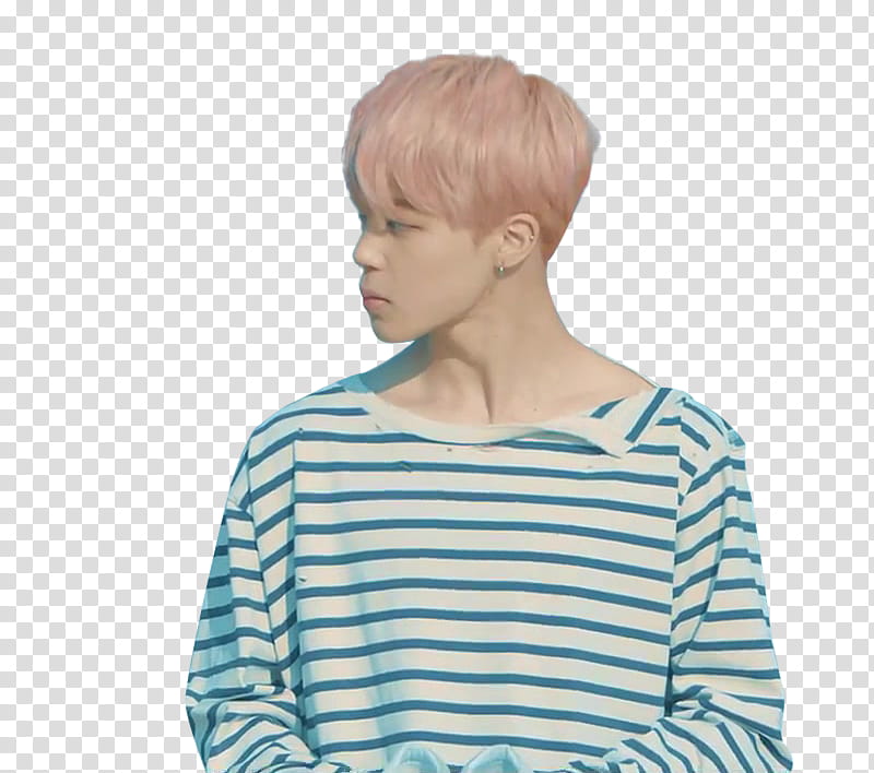 BTS Spring Day s transparent background PNG clipart