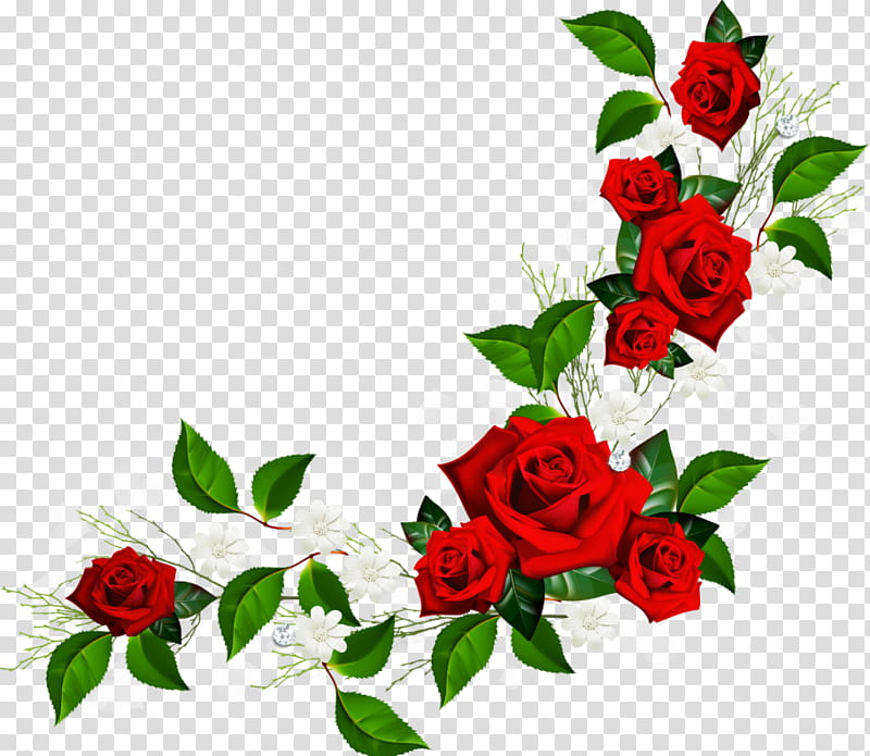 Rose Love Flowers, Frames, BORDERS AND FRAMES, Ghazal, Urdu, Poetry, Geraldton Fruit Vegetable Supply, Hindi transparent background PNG clipart