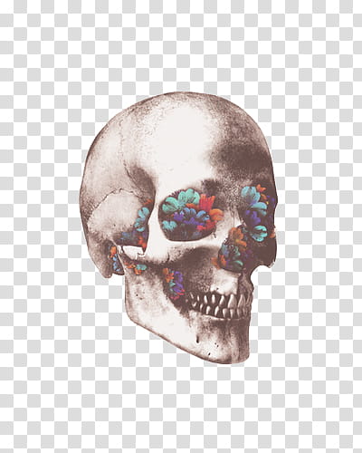 Rebel s, floral skull illustration transparent background PNG clipart