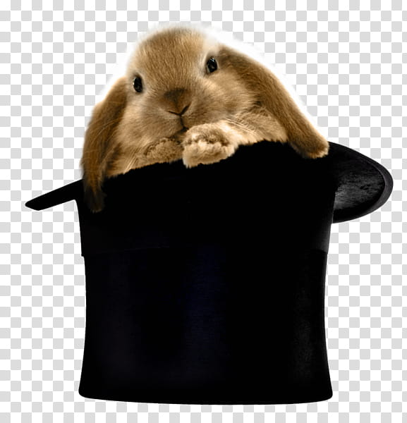 Bunny in silk Hat, brown bunny inside top hat transparent background PNG clipart