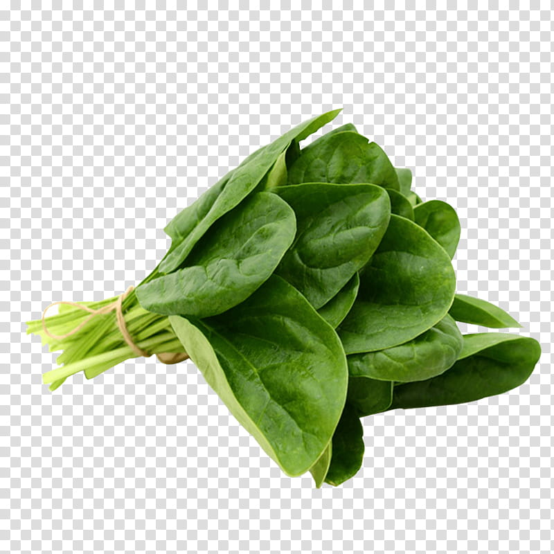 Basil Leaf, Spinach Dip, Spinach Salad, Greens, Vegetable, Food, Superfood, Chard transparent background PNG clipart